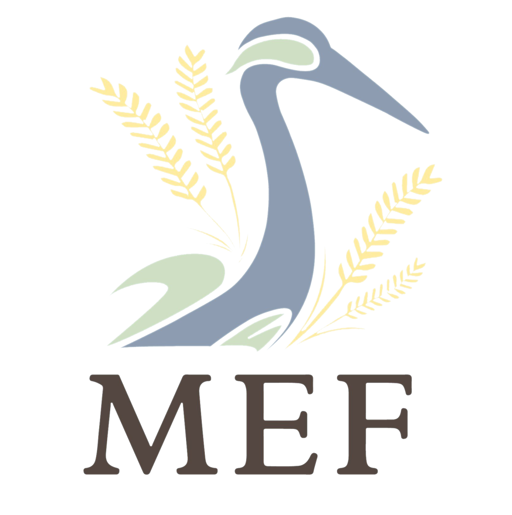Mekong Environment Forum